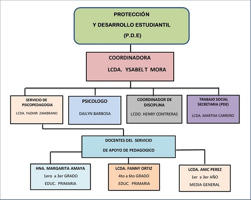 organigrama_pde